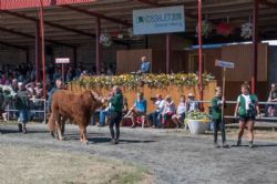 Stemningsbilleder - Interbreed i den store ring 