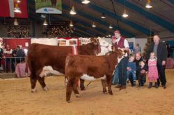 Stemningsbilleder - Interbreed for hundyr – Hereford løb med sejren