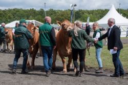 Stemningsbilleder - Hele tre limousine besætningsgrupper fik hver en ærespræmie 