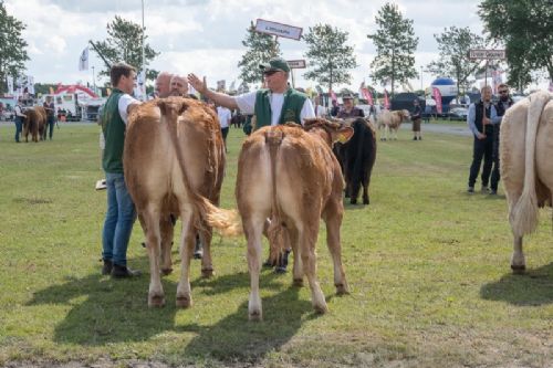 Stemningsbilleder - Limousine sejrede i Interbreed med det bedste hundyr. Highfive fra far til søn.