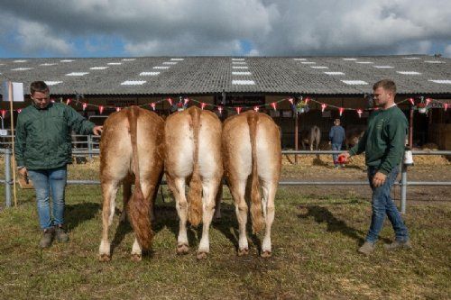 Stemningsbilleder - Nyt tiltag i 2023 var en regionskonkurrence. Her den sammensatte gruppe fra Region Øerne