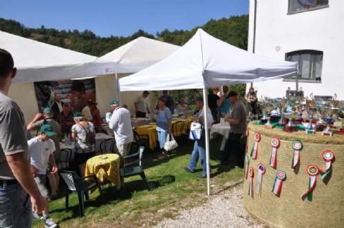 Studietur Italien - Så er der disket op med frokost. Mange af besætningens pokaler var udstillet, så vi kunne nyde synet under måltidet.