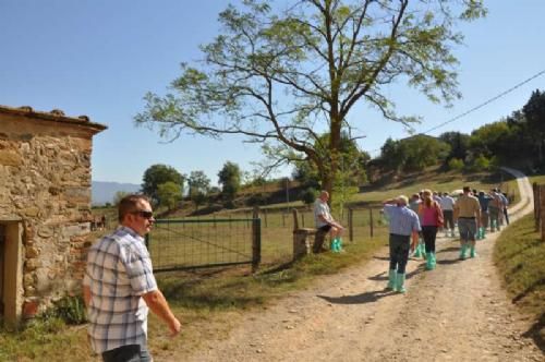 Studietur Italien - Der er ikke meget skygge at finde i den steghede middagssol. Temperaturen lå et godt stykke over 30 grader i skyggen.