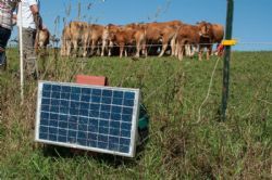 Studietur til Østrig - Elektrisk hegn drevet af solceller