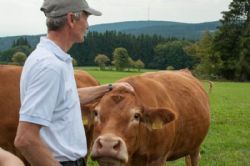 Studietur til Østrig - Det er skønt at være limousineko