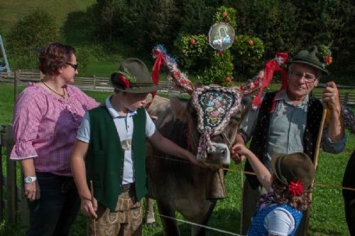 Studietur til Østrig - En af de flottest pyntede køer har taget opstilling med sin "familie"