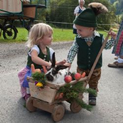 Studietur til Østrig - Tålmodig kanin i trækvogn 