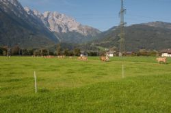 Studietur til Østrig - Så afsted til frisk græs på marken