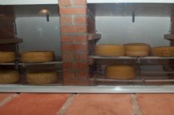 Studietur til Østrig - Et kig (ligeledes gennem rude) til ostelageret, hvor de faste oste modner