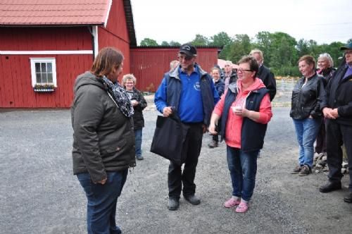 Studietur - Mødet mellem de danske og de svenske limousineavlere, hvor også avlere lang borte fra, var mødt op for at hilse på, var slut, og vi takker så mÿcket for synet.