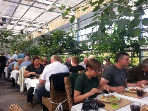 Studietur - Frokost i Lindskök mellem tomatplanter og hængende citrusfrugter. Virklig lækkert - og anderledes.