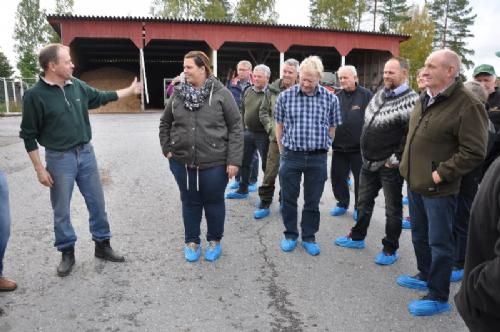 Studietur - Der bliver fortalt og oversat. Besætningens historie og lidt om dyrene og hverdagen på gården.