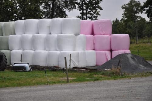 Studietur - Flere steder sås lyserøde wrapballer. Forklaringen var, at når man valgte det lyserøde plast, blev der givet lidt til kampen mod brystcancer.