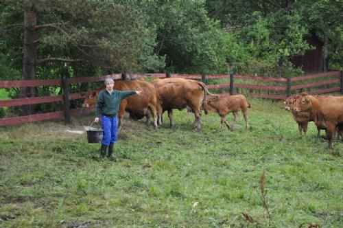 Studietur - Agathe, som står for kvægavlen på godset, var lige så glad for at fortælle om dyrene, som vi var for at høre hende fortælle med hendes smittende entusiasme.