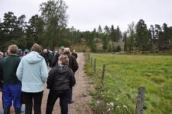 Studietur - Foldene ligger i flot kupperet terræn med klipper stikkende op hist og her.