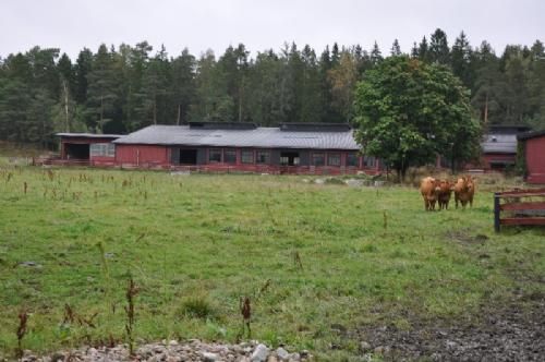 Studietur - Der bliver gjort noget ud af at få staldene til at se pæne ud udefra her i landet.