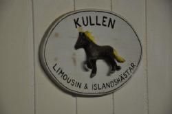Sverigestur 2013 - Kullen Limousine avler også Islændere.