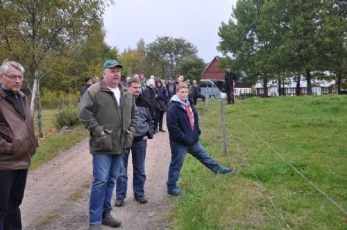 Sverigestur 2013 - Danskerne lytter og hører om, hvordan Mats ”spuler” sine køer (skyller til at lave embryoner).