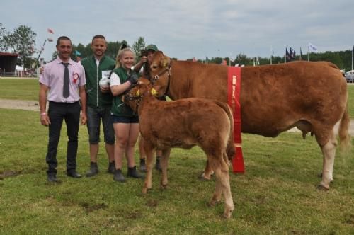 Vinderdyr - Borre Flicka – bedste ko 3-5 år, bedste hundyr, bedste Limousine fra Bøgely Limousine v/Tommy Jessing, Brørup 