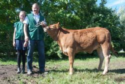 Ærespræmie- og vinderdyr - 1613 - Lindegården Molly – fra AP Kragh Madsen, Randers SV