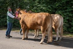 Vinderdyrene - Bedste par – fra Amalie og Kenn Thygesen, Janderup Vestj